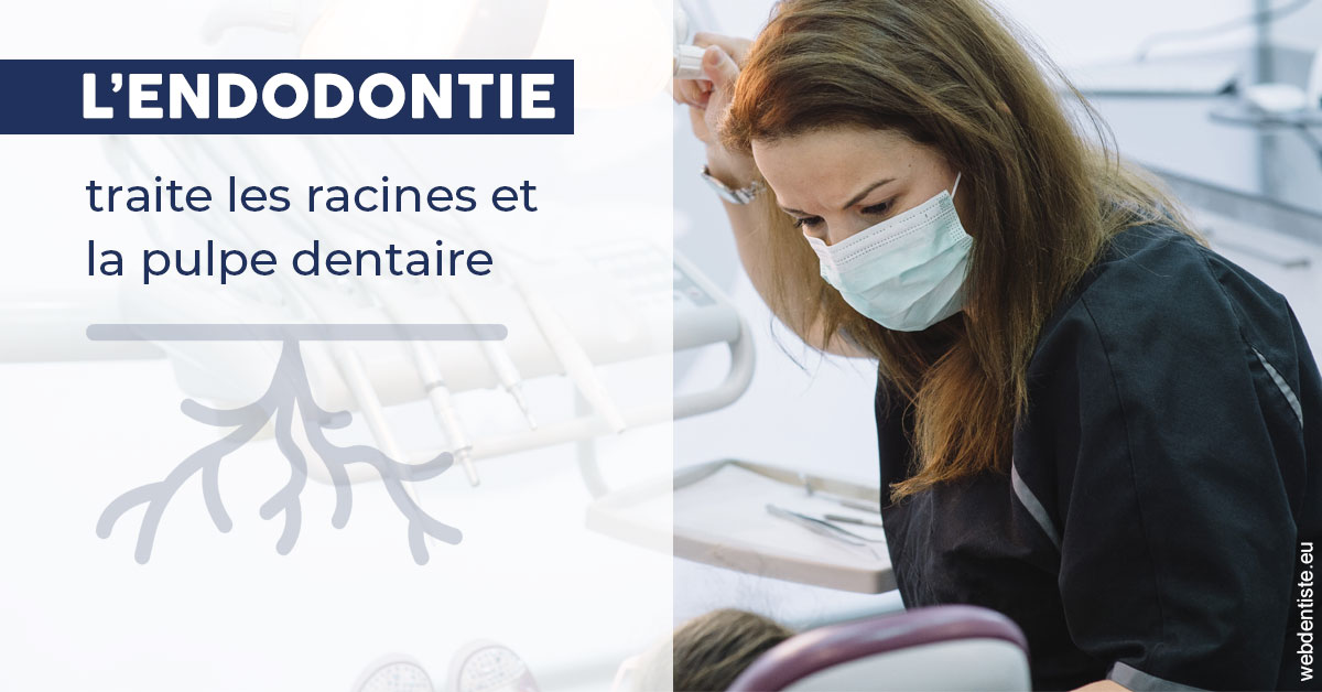 https://selarl-heraud.chirurgiens-dentistes.fr/L'endodontie 1