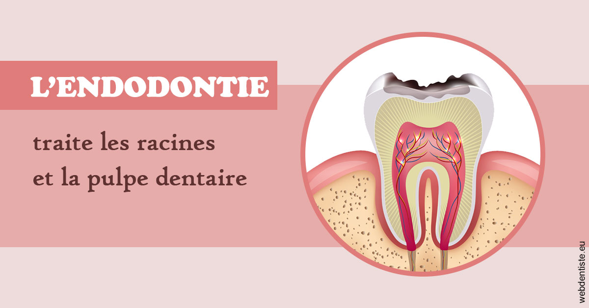 https://selarl-heraud.chirurgiens-dentistes.fr/L'endodontie 2