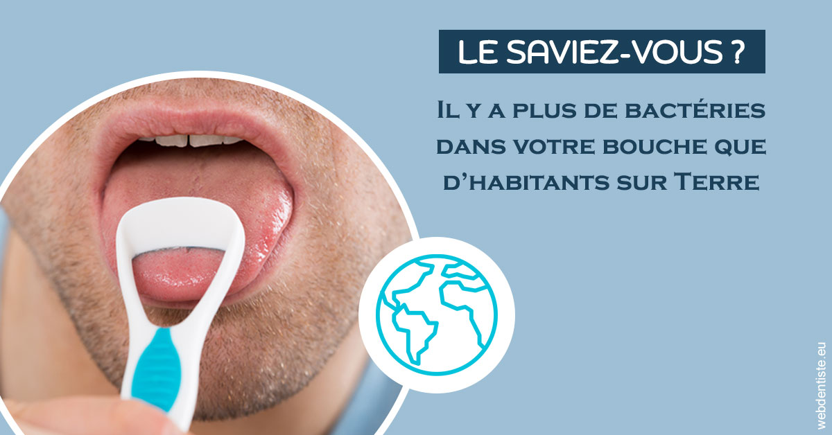 https://selarl-heraud.chirurgiens-dentistes.fr/Bactéries dans votre bouche 2